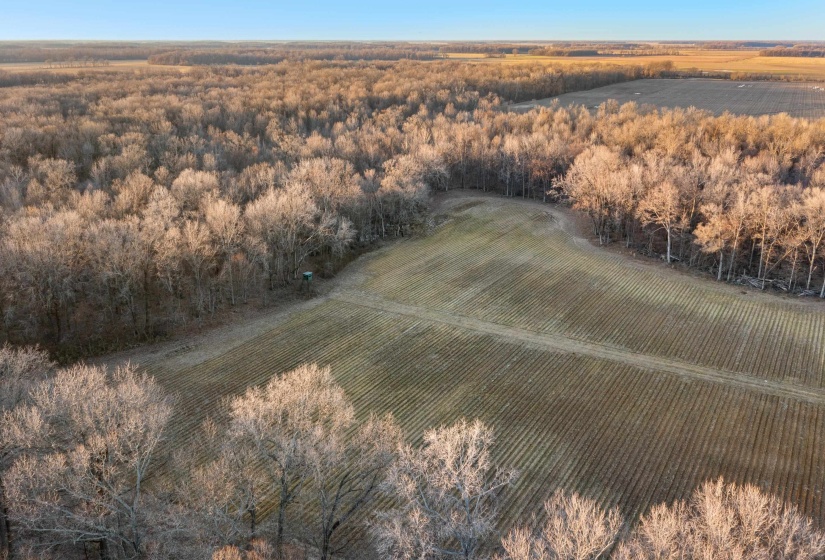 Bird's eye view with a rural view