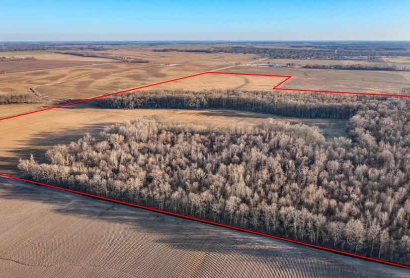 Bird's eye view with a rural view