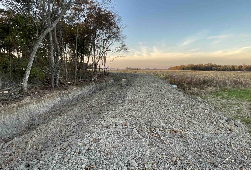 483 PHILLIPS 131 RD, Marvell, Arkansas 72366, ,Land,For Sale,PHILLIPS 131,10220327