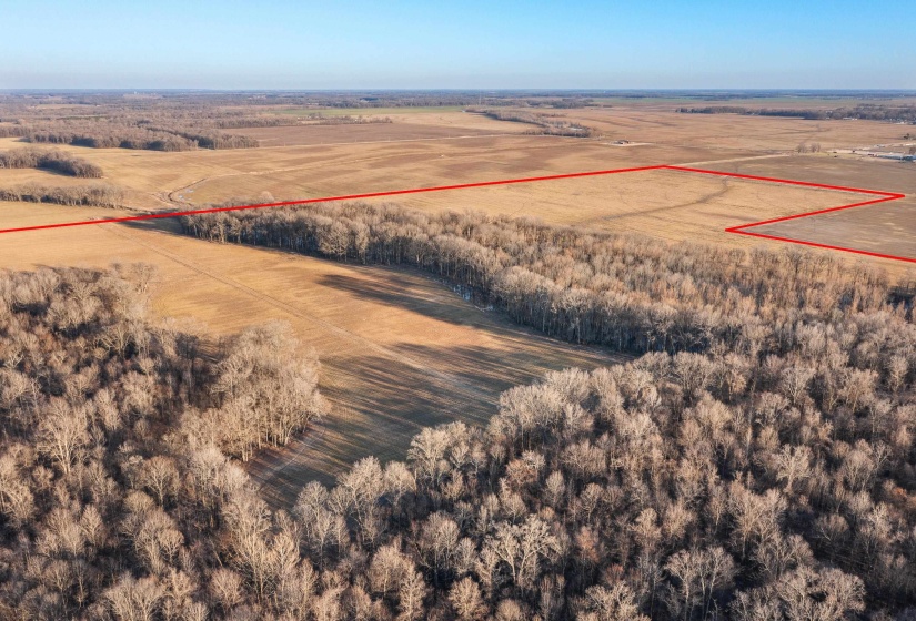 Drone / aerial view featuring a rural view