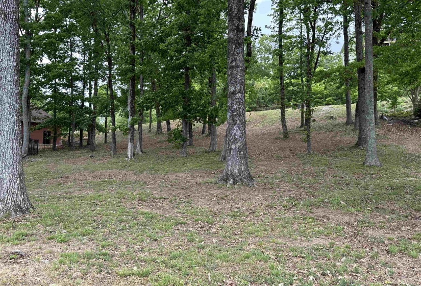 240 BREATHTAKING LOOP, Savannah, Tennessee 38372, 0 , 0 ,0,Land,For Sale,BREATHTAKING,0,10220331