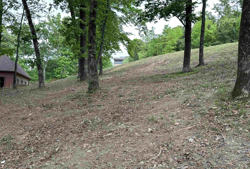 240 BREATHTAKING LOOP, Savannah, Tennessee 38372, 0 , 0 ,0,Land,For Sale,BREATHTAKING,0,10220331