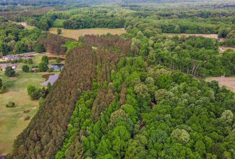 0 REID HOOKER RD, Eads, Tennessee 38028, ,Land,For Sale,REID HOOKER,10220343