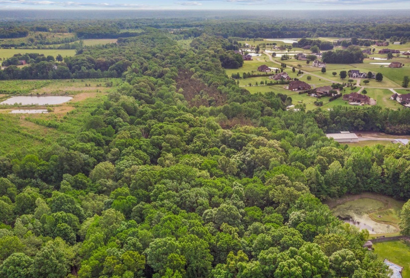 0 REID HOOKER RD, Eads, Tennessee 38028, ,Land,For Sale,REID HOOKER,10220343