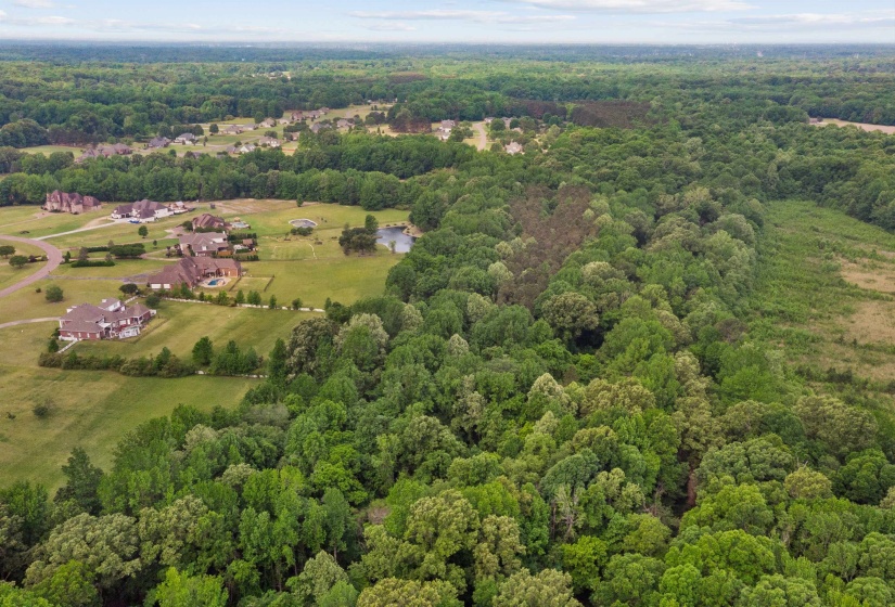 0 REID HOOKER RD, Eads, Tennessee 38028, ,Land,For Sale,REID HOOKER,10220343