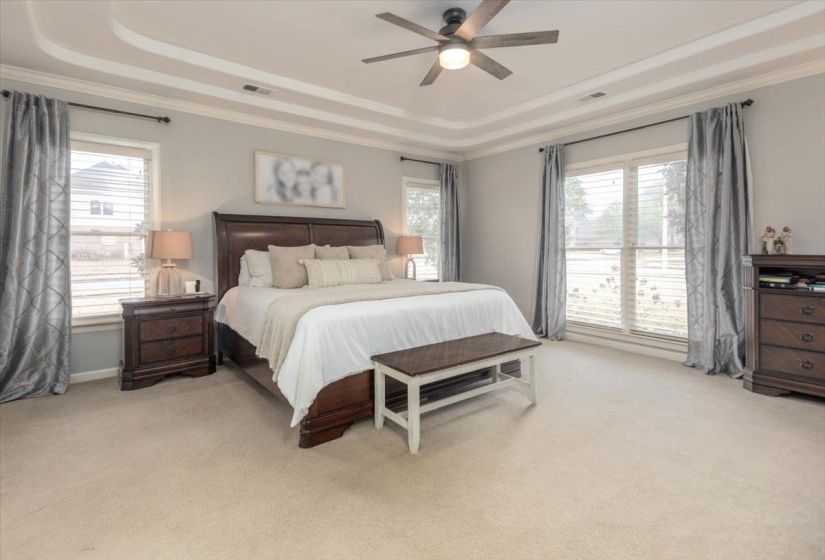 Expansive room featuring a tray ceiling with crown molding, light gray wall paint, and plush carpeting