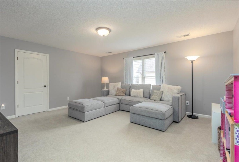 Carpeted room with light gray walls, a window with blinds, and an interior door with a white finish