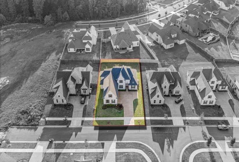 Expansive property featuring a meticulously manicured lawn, paved driveway, and established landscaping