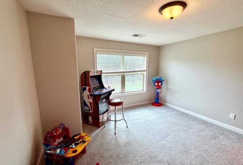 Carpeted room featuring a white-framed window with blinds, recessed architectural detailing, and a flush-mount ceiling light