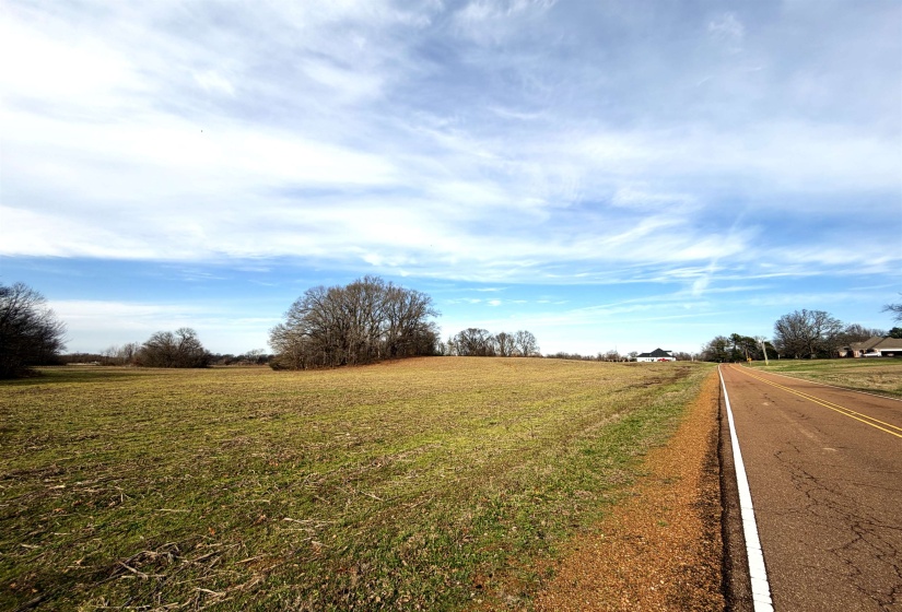 398-4006 BALDWIN RD, Lake Cormorant, Mississippi 38641, ,Land,For Sale,BALDWIN,10220384