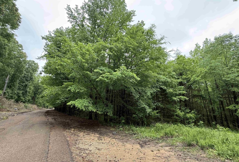 DONALDSON LN, Hornsby, Tennessee 38044, ,Land,For Sale,DONALDSON,10220386