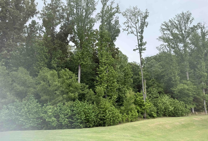 0 WINDWAY DR, Bartlett, Tennessee 38135, ,Land,For Sale,WINDWAY,10220387