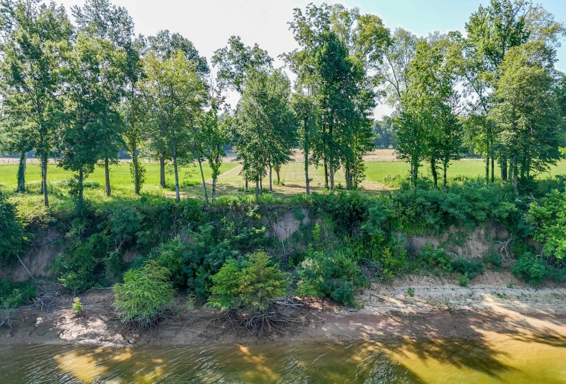 6 CADEN CV, Savannah, Tennessee 38372, ,Land,For Sale,CADEN,10220397