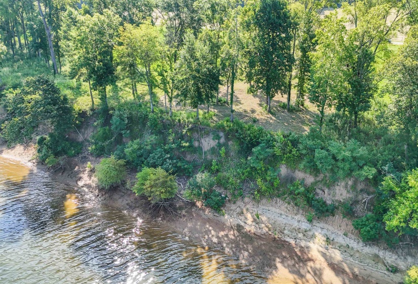 6 CADEN CV, Savannah, Tennessee 38372, ,Land,For Sale,CADEN,10220397