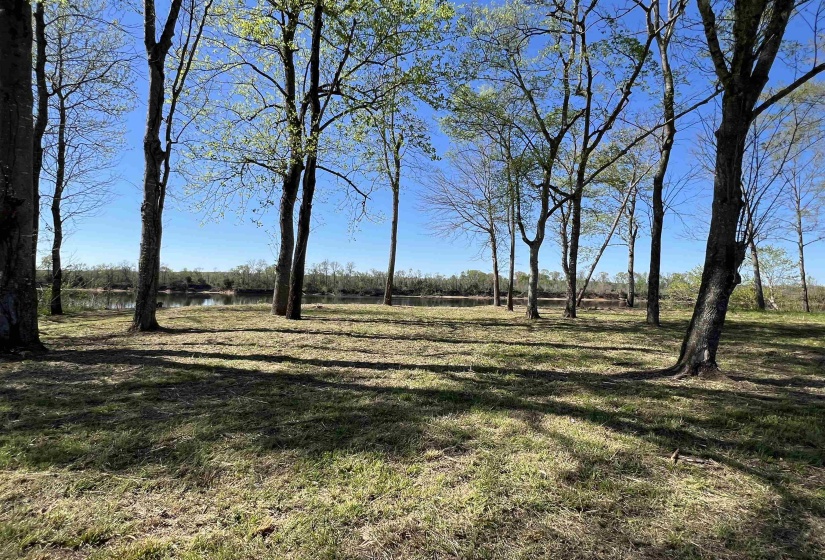 6 CADEN CV, Savannah, Tennessee 38372, ,Land,For Sale,CADEN,10220397