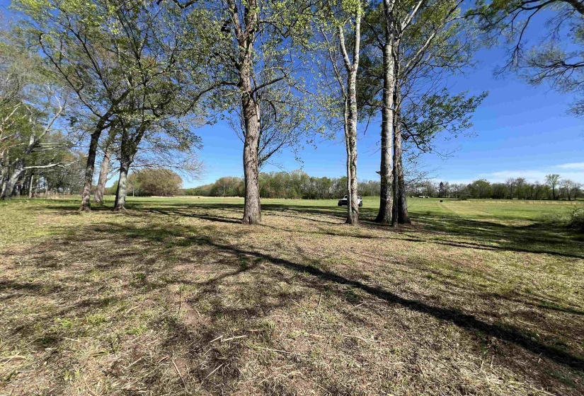 6 CADEN CV, Savannah, Tennessee 38372, ,Land,For Sale,CADEN,10220397