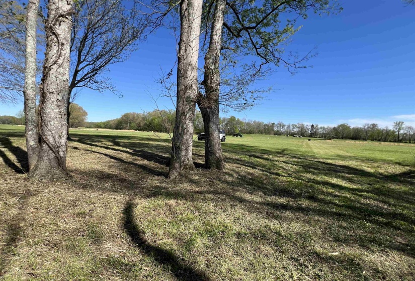 6 CADEN CV, Savannah, Tennessee 38372, ,Land,For Sale,CADEN,10220397