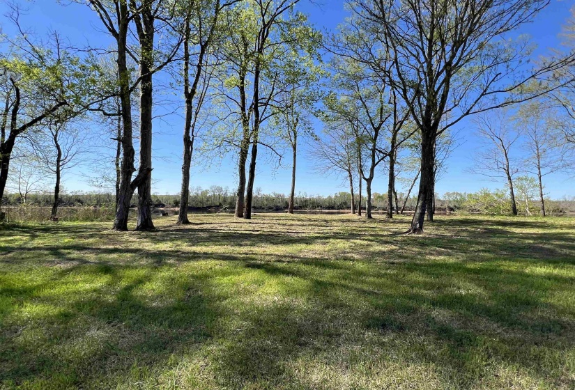 6 CADEN CV, Savannah, Tennessee 38372, ,Land,For Sale,CADEN,10220397