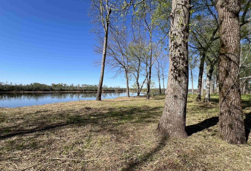 6 CADEN CV, Savannah, Tennessee 38372, ,Land,For Sale,CADEN,10220397