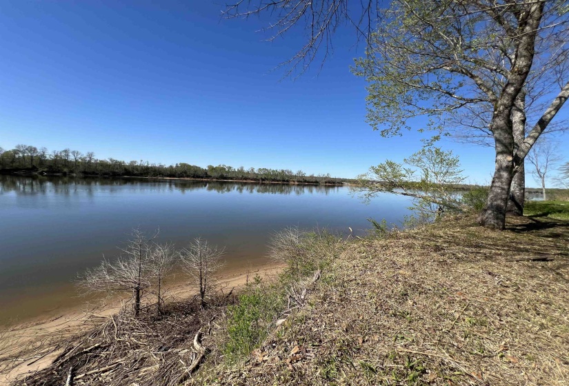 6 CADEN CV, Savannah, Tennessee 38372, ,Land,For Sale,CADEN,10220397