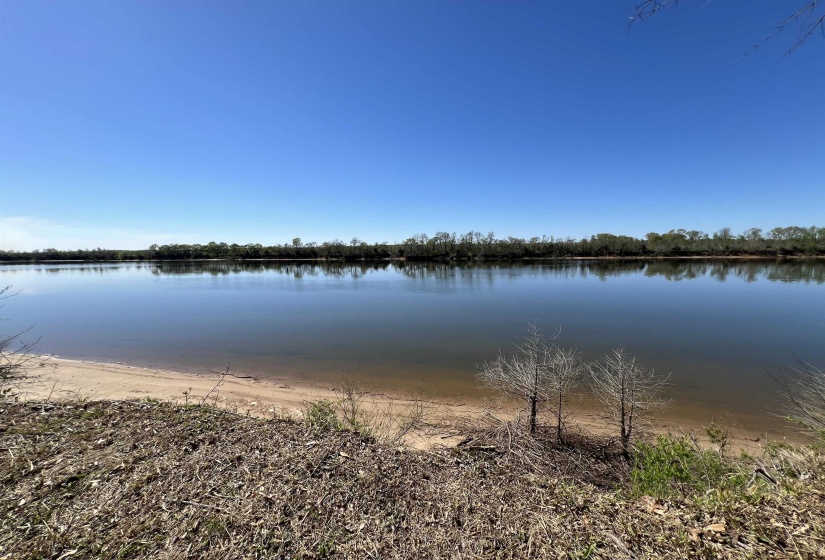 6 CADEN CV, Savannah, Tennessee 38372, ,Land,For Sale,CADEN,10220397