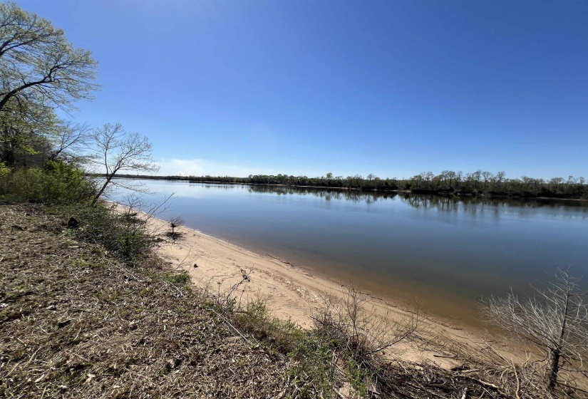 6 CADEN CV, Savannah, Tennessee 38372, ,Land,For Sale,CADEN,10220397