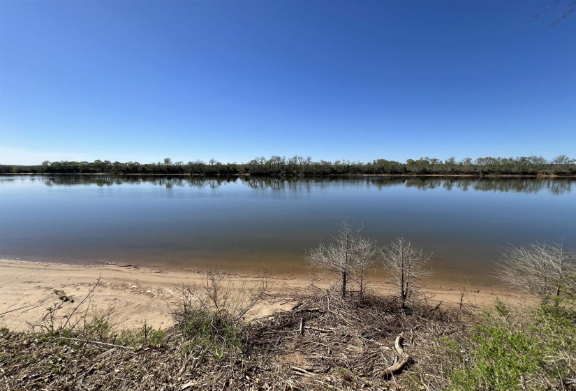 6 CADEN CV, Savannah, Tennessee 38372, ,Land,For Sale,CADEN,10220397