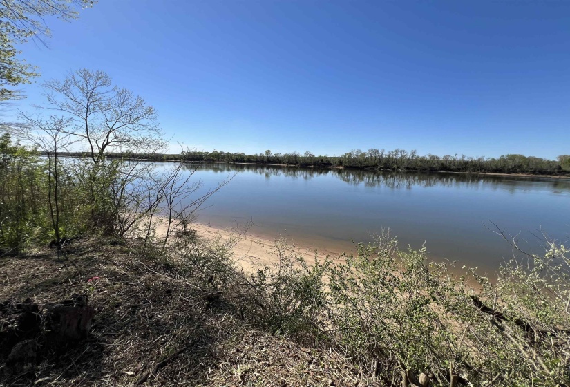 6 CADEN CV, Savannah, Tennessee 38372, ,Land,For Sale,CADEN,10220397