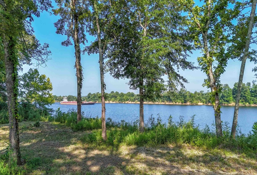 6 CADEN CV, Savannah, Tennessee 38372, ,Land,For Sale,CADEN,10220397