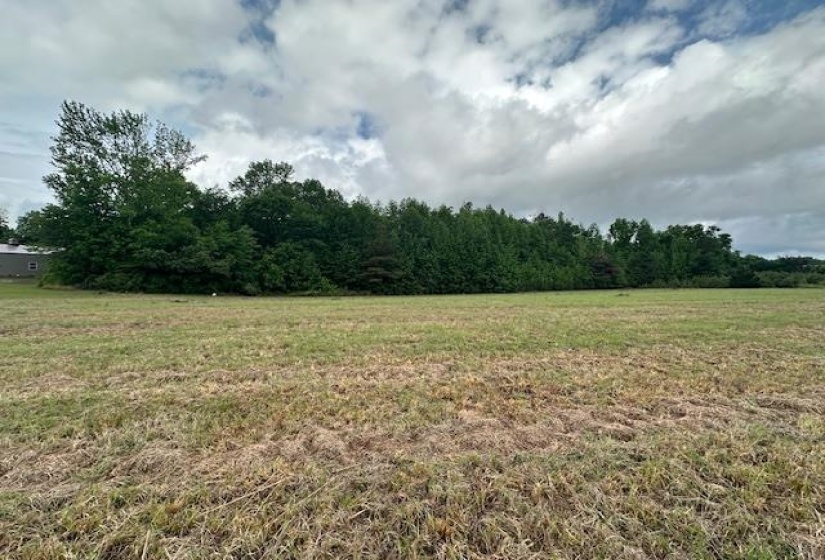 000 PEAR BLOSSOM LN, Adamsville, Tennessee 38310, ,Land,For Sale,PEAR BLOSSOM,10220399