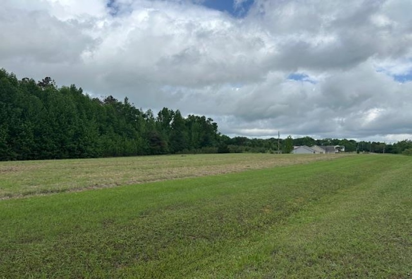 000 PEAR BLOSSOM LN, Adamsville, Tennessee 38310, ,Land,For Sale,PEAR BLOSSOM,10220399