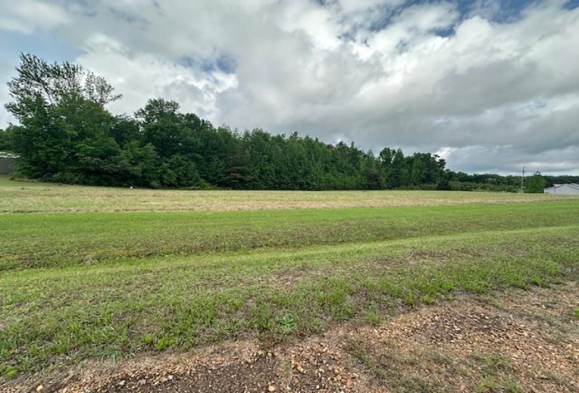 000 PEAR BLOSSOM LN, Adamsville, Tennessee 38310, ,Land,For Sale,PEAR BLOSSOM,10220399