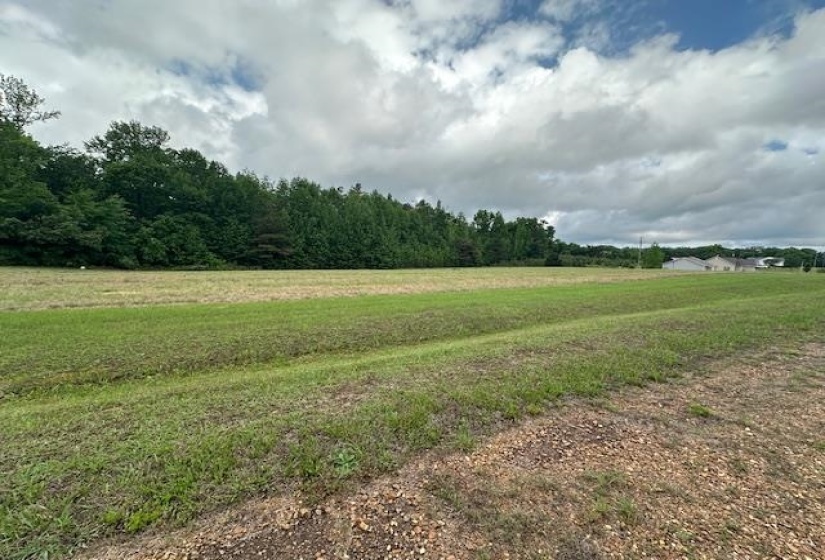 000 PEAR BLOSSOM LN, Adamsville, Tennessee 38310, ,Land,For Sale,PEAR BLOSSOM,10220399