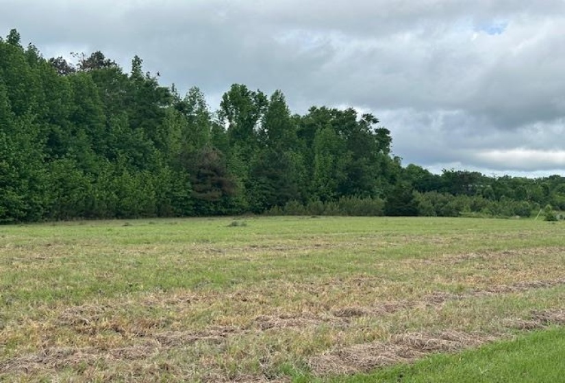 000 PEAR BLOSSOM LN, Adamsville, Tennessee 38310, ,Land,For Sale,PEAR BLOSSOM,10220399