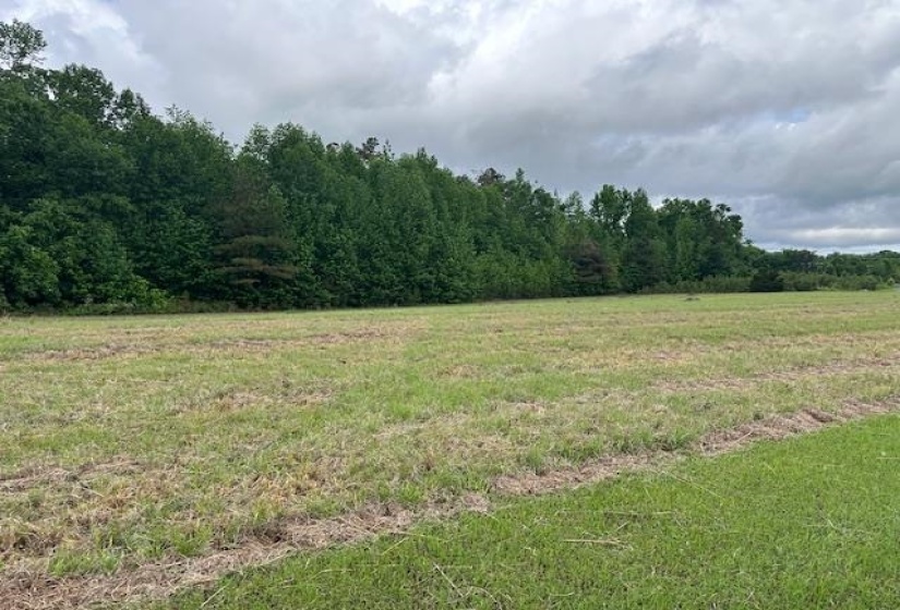 000 PEAR BLOSSOM LN, Adamsville, Tennessee 38310, ,Land,For Sale,PEAR BLOSSOM,10220399