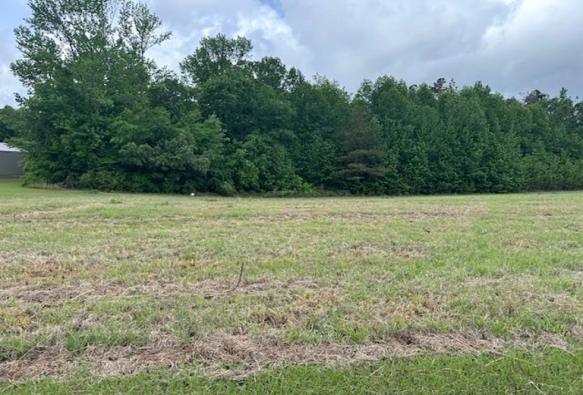 000 PEAR BLOSSOM LN, Adamsville, Tennessee 38310, ,Land,For Sale,PEAR BLOSSOM,10220399