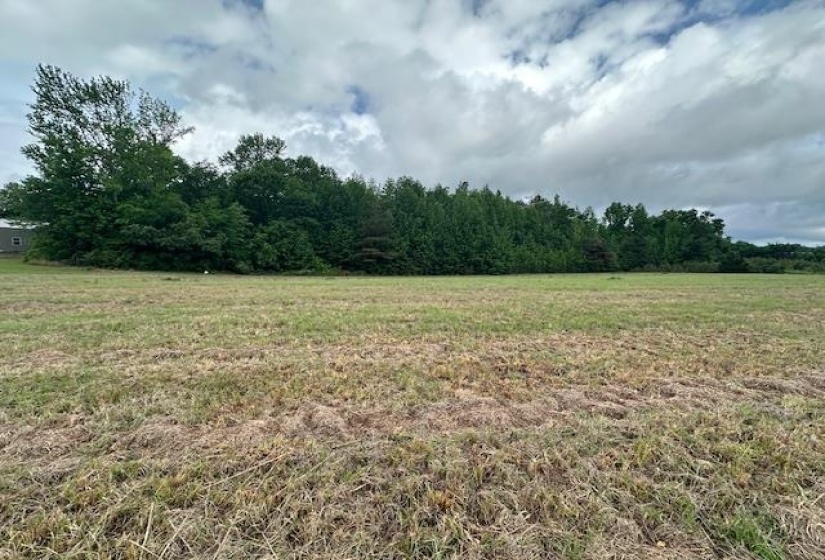 000 PEAR BLOSSOM LN, Adamsville, Tennessee 38310, ,Land,For Sale,PEAR BLOSSOM,10220399