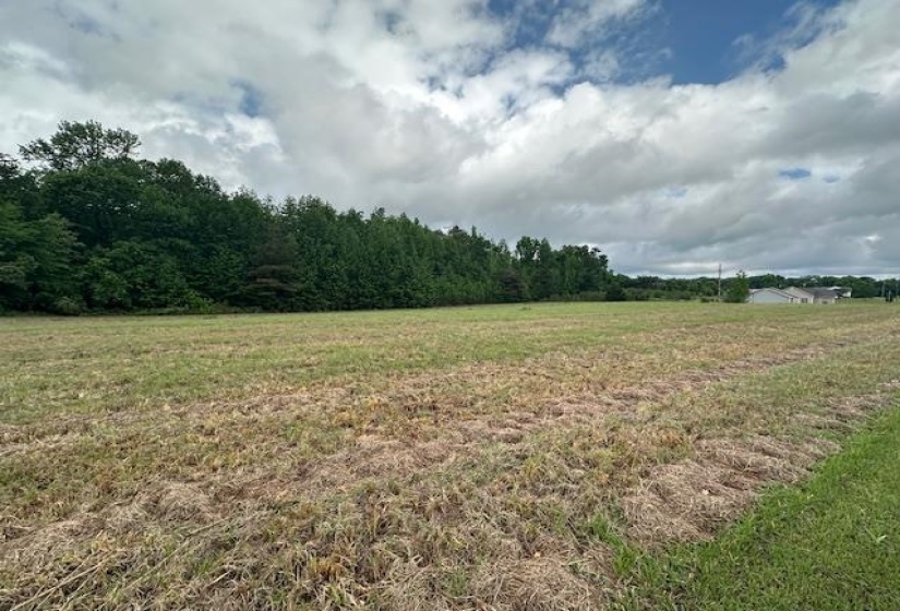 000 PEAR BLOSSOM LN, Adamsville, Tennessee 38310, ,Land,For Sale,PEAR BLOSSOM,10220399