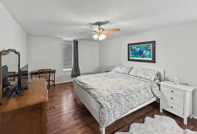 Spacious interior featuring wood-finish flooring, a contemporary ceiling fan, and a large window with privacy curtains
