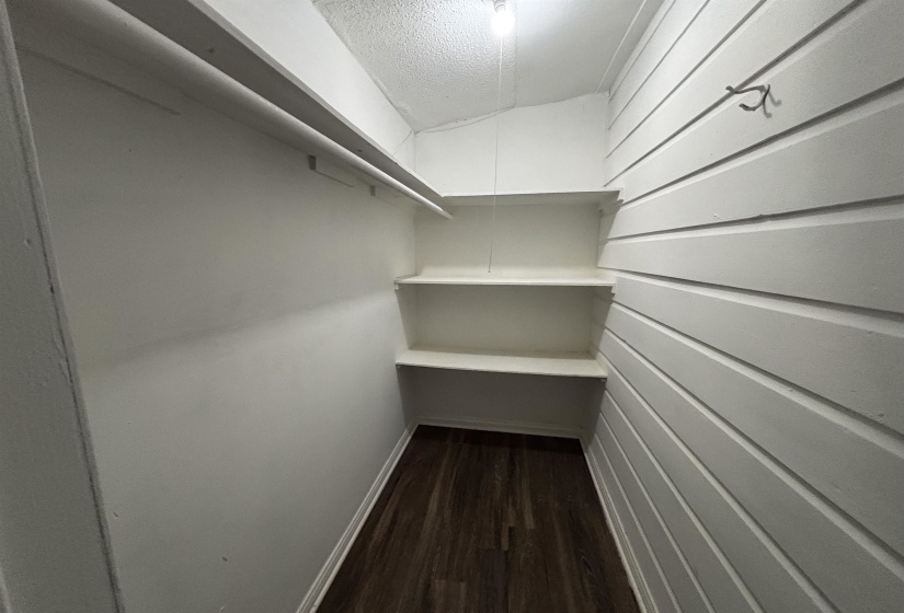 Closet featuring wood-finish flooring, white horizontal paneling, built-in shelving, and a clothing rod