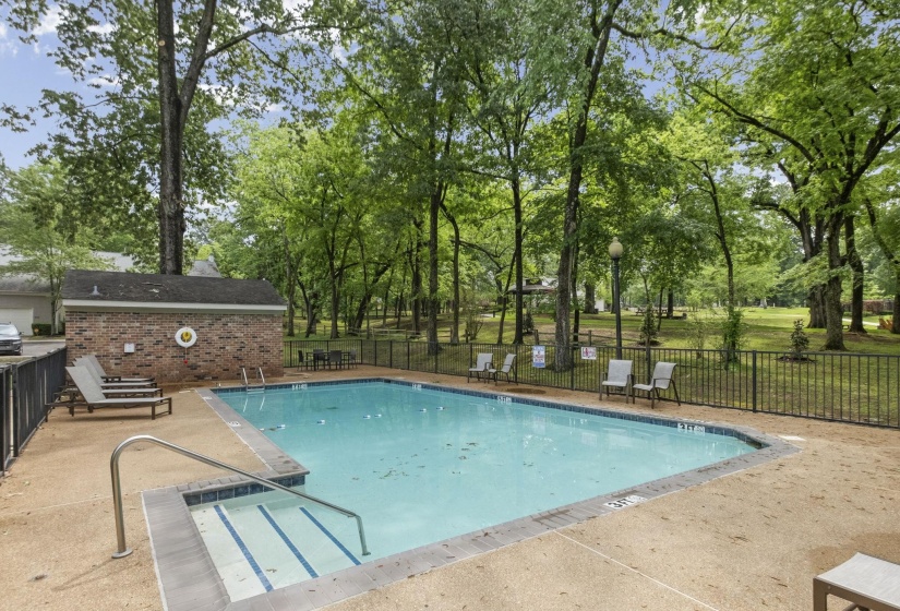 Swimming pool with integrated steps, surrounded by a concrete deck and black metal fencing