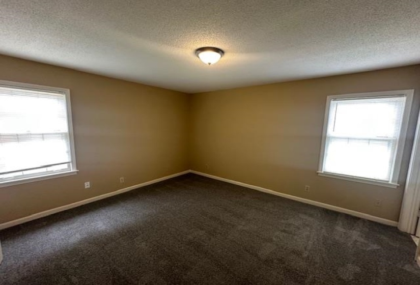 Room featuring neutral-toned walls, white trim, and dark gray carpeting