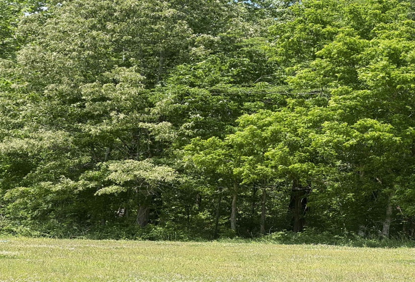 360 NICOLET DR, Memphis, Tennessee 38109, ,Land,For Sale,NICOLET,10220425