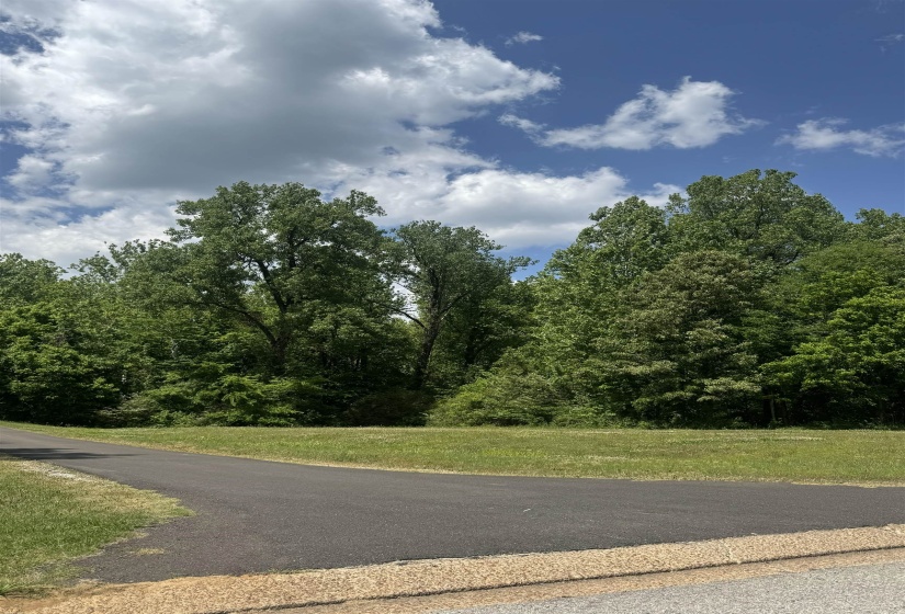 360 NICOLET DR, Memphis, Tennessee 38109, ,Land,For Sale,NICOLET,10220425