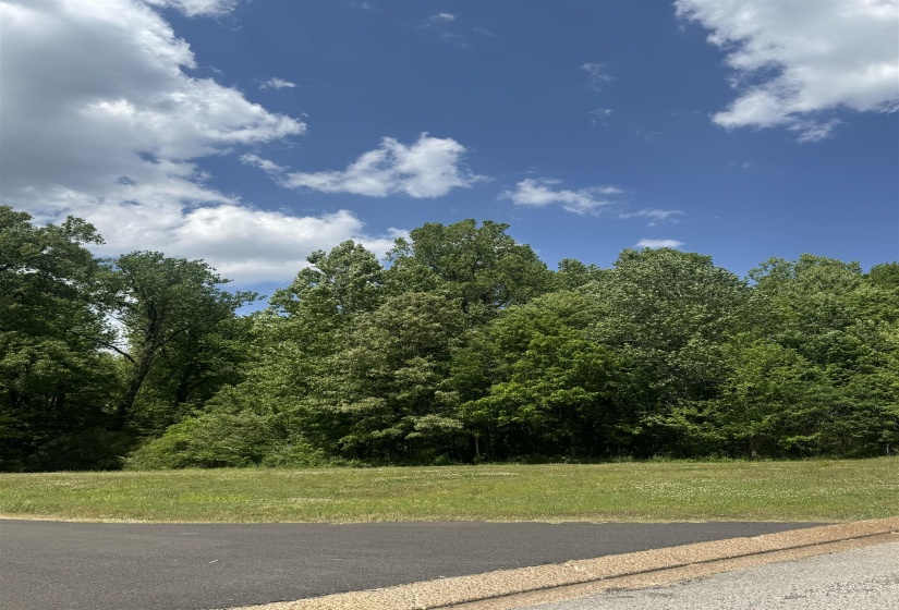 360 NICOLET DR, Memphis, Tennessee 38109, ,Land,For Sale,NICOLET,10220425