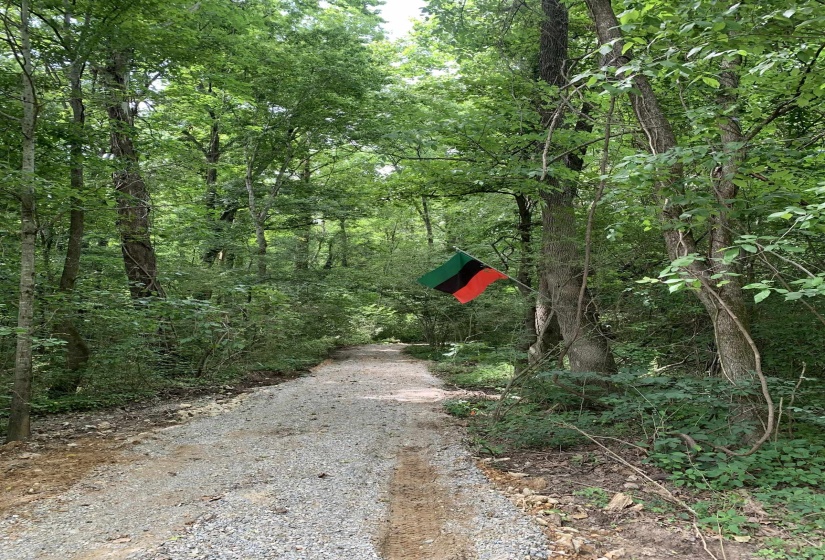 360 NICOLET DR, Memphis, Tennessee 38109, ,Land,For Sale,NICOLET,10220425