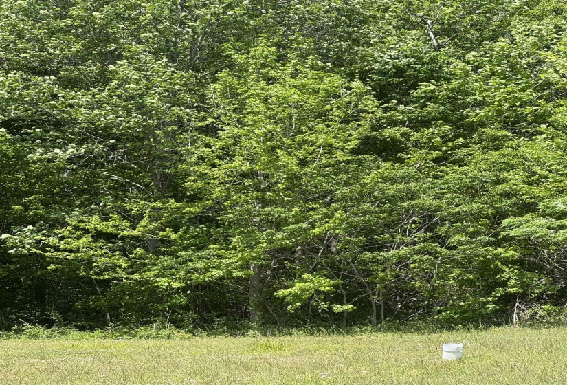 360 NICOLET DR, Memphis, Tennessee 38109, ,Land,For Sale,NICOLET,10220425