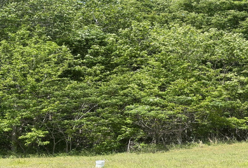 360 NICOLET DR, Memphis, Tennessee 38109, ,Land,For Sale,NICOLET,10220425