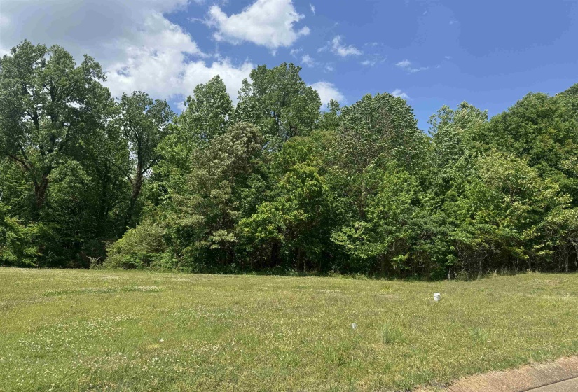360 NICOLET DR, Memphis, Tennessee 38109, ,Land,For Sale,NICOLET,10220425