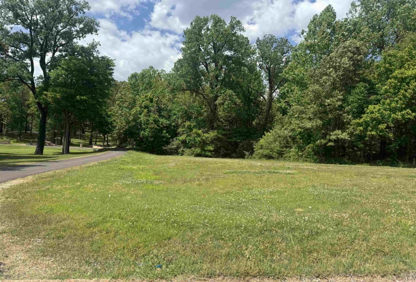 360 NICOLET DR, Memphis, Tennessee 38109, ,Land,For Sale,NICOLET,10220425